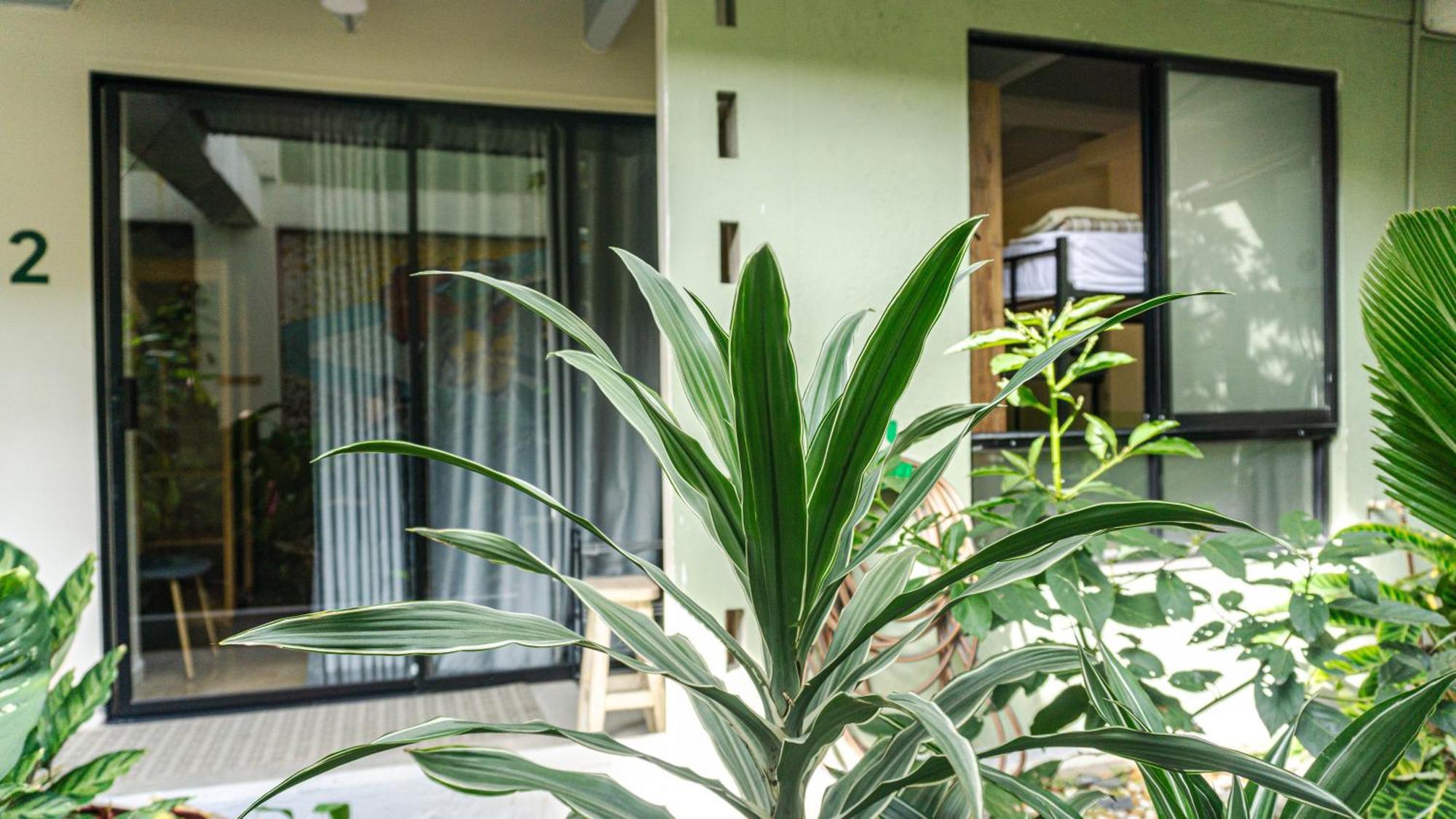 麦德林Selva House住宿加早餐旅馆 外观 照片