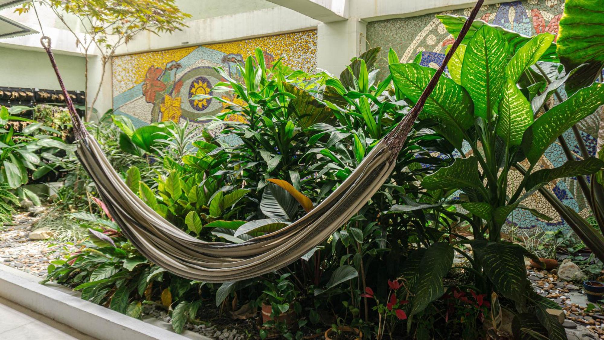 麦德林Selva House住宿加早餐旅馆 外观 照片